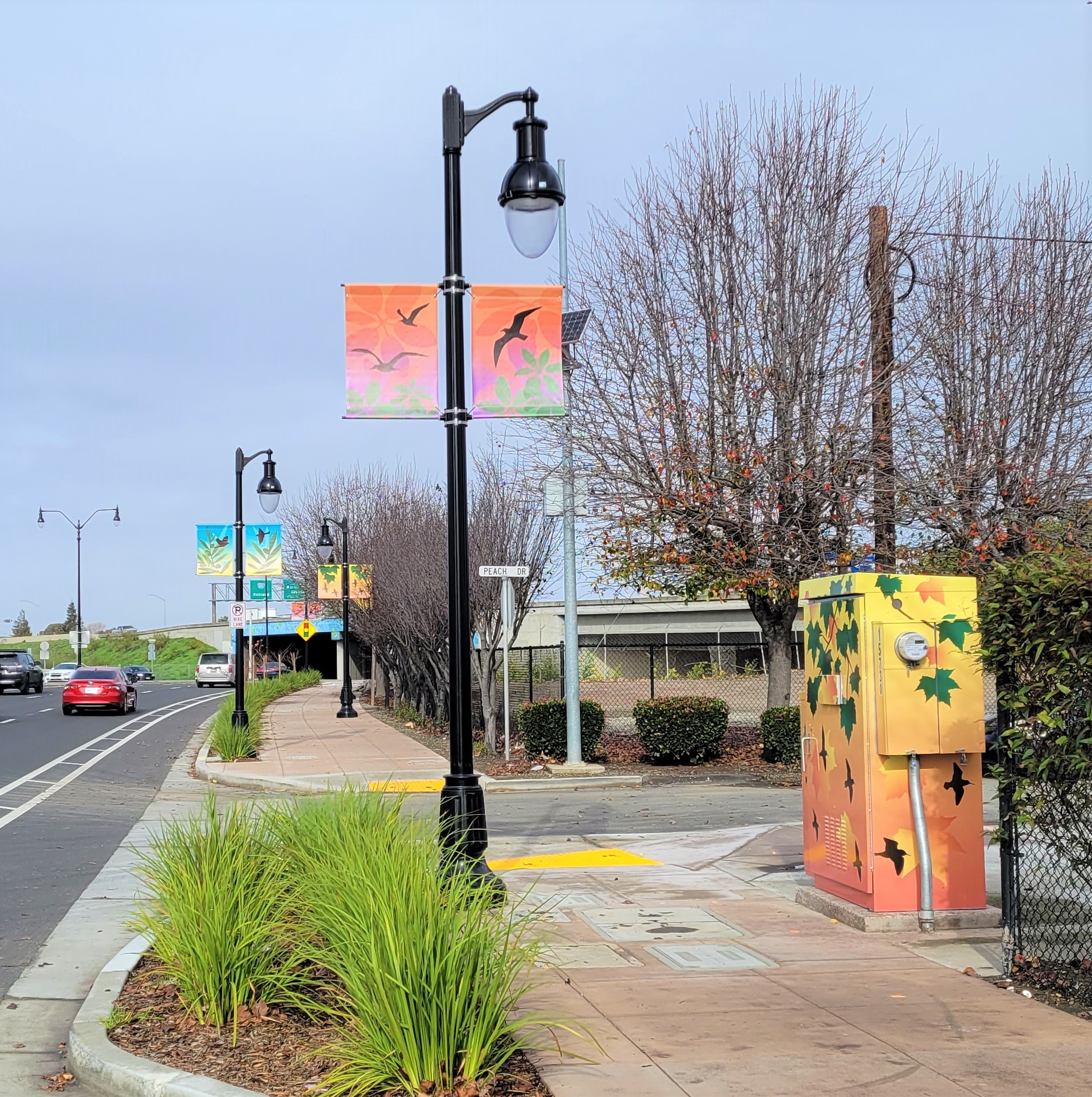 PRIORITY-20230106_112334-crop Public Art by Artist Vanessa Marsh for the Hesperian Boulevard Corridor Improvement Project